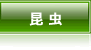 �����̂ʂ肦